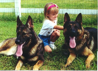 German Shepherds are excellent family members