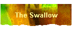 The Swallow